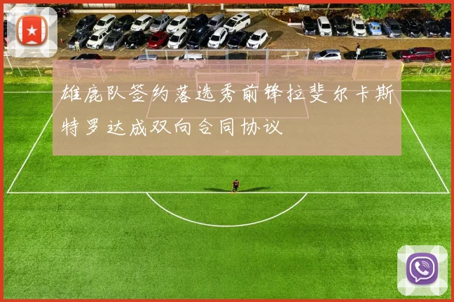 雄鹿队签约落选秀前锋拉斐尔卡斯特罗达成双向合同协议