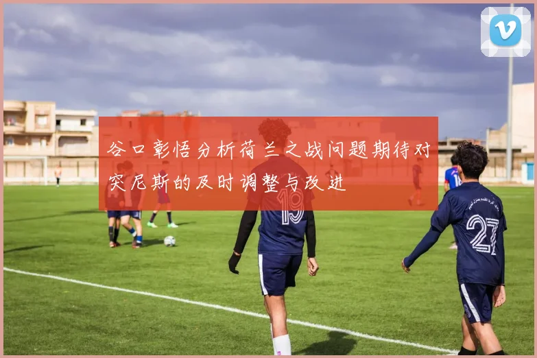 谷口彰悟分析荷兰之战问题期待对突尼斯的及时调整与改进