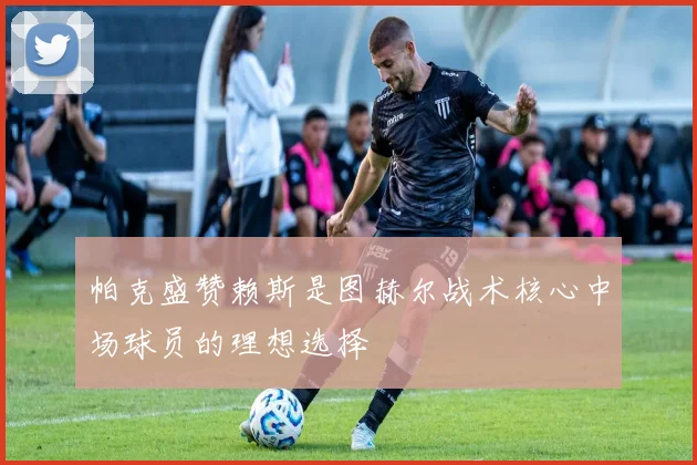 帕克盛赞赖斯是图赫尔战术核心中场球员的理想选择
